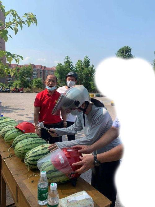 莱芜吃瓜事件泰和,泰和视角下的网络舆论风暴