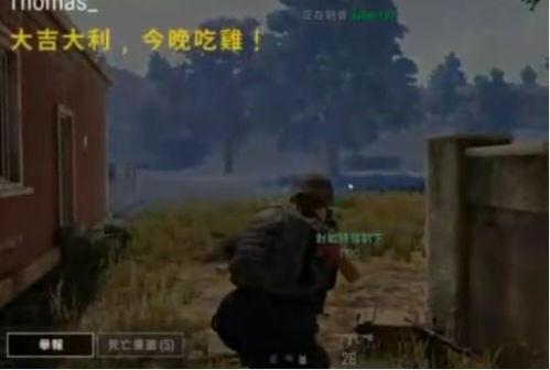 吃鸡已婚瓜,娱乐圈夫妻的甜蜜与挑战