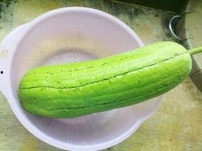 水瓜通风可以吃吗,水瓜通风处理后的食用安全解析