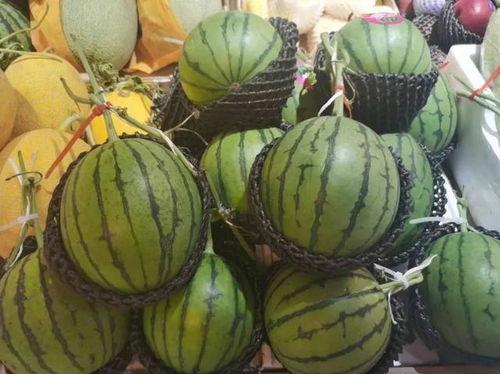 吃瓜小追,揭秘娱乐圈幕后故事