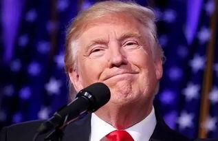 戴蒙吃瓜,揭秘娱乐圈的甜蜜瓜田