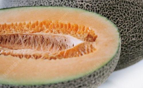 吃哈密瓜会不会过敏,过敏风险需警惕