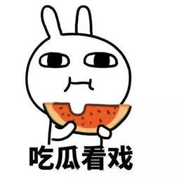 吃瓜往期热点,盘点近期热门事件背后的真相与争议