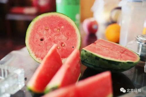 吃瓜冷冻,揭秘吃瓜冷冻背后的故事