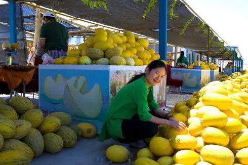 甘肃吃瓜群,民间舆论场上的烟火气息