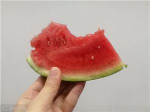 吃瓜猪猪涨粉,揭秘网络红人的魅力之旅