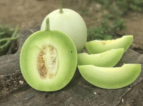 吃的熟瓜在吃冰淇淋,熟瓜冰淇淋的味蕾之旅