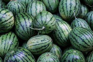 一看就是吃瓜了,一窥明星们的“吃瓜”生活