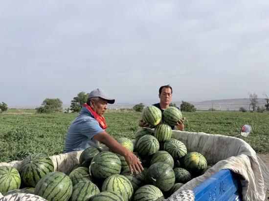 沙滩吃瓜一区,夏日狂欢的欢乐盛宴