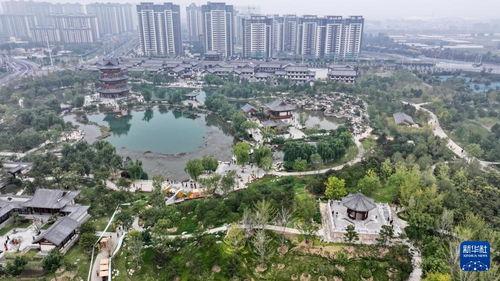 众春园定州吃瓜,夏日吃瓜新风尚,畅享清凉好时光