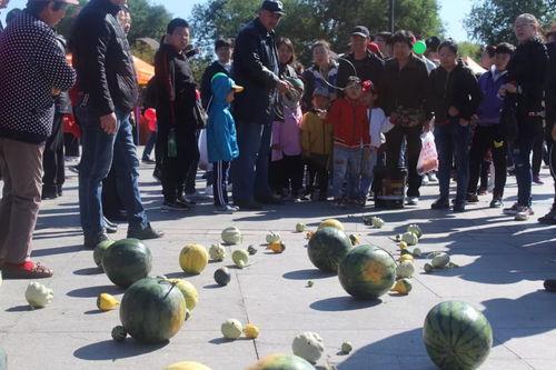 息烽吃瓜比赛视频播放,一场视觉盛宴的狂欢现场