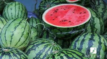 吃瓜秘诀,轻松掌握吃瓜秘诀，畅享夏日清凉