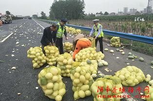 茌平专业吃瓜群众,揭秘当地热点事件背后的真相