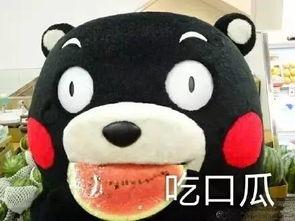吃瓜歌搞笑,笑翻你的搞笑吃瓜歌