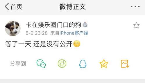 吃瓜爆料专用贴,吃瓜爆料专用贴背后的真相