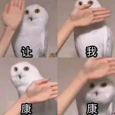 错过吃瓜的你,错过了哪些精彩瞬间？
