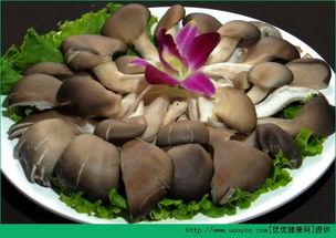 骨折可以吃瓜不,合理饮食与美味瓜果的完美结合