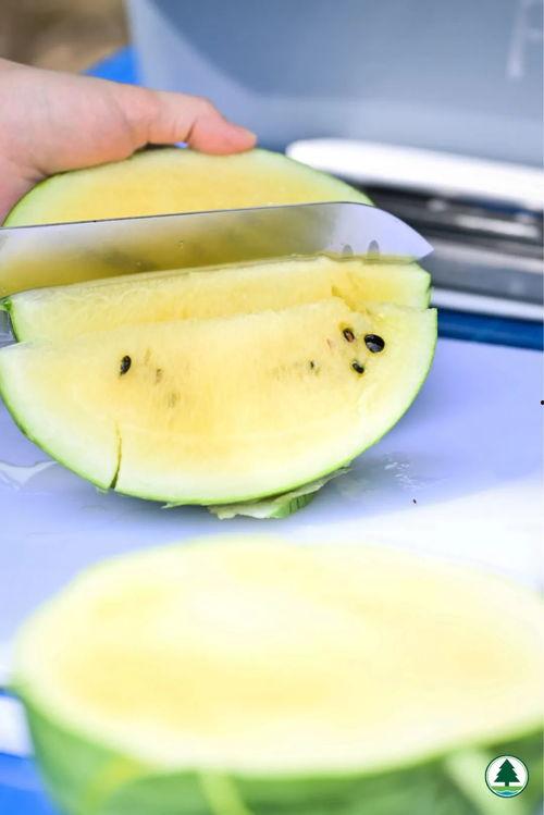 五折吃瓜,畅享夏日清凉美食盛宴